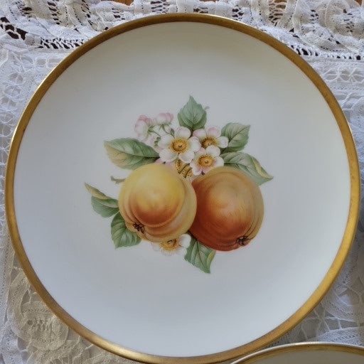 Set of 8 Fruit by Hutschenreuther 8" Salad Plates - Germany Bavaria