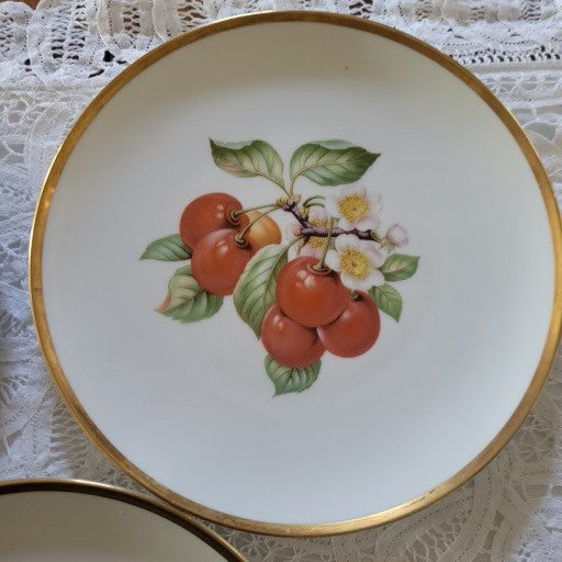 Set of 8 Fruit by Hutschenreuther 8" Salad Plates - Germany Bavaria