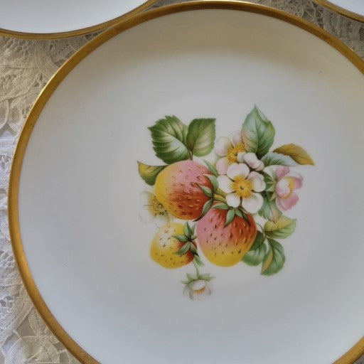 Set of 8 Fruit by Hutschenreuther 8" Salad Plates - Germany Bavaria