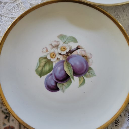 Set of 8 Fruit by Hutschenreuther 8" Salad Plates - Germany Bavaria