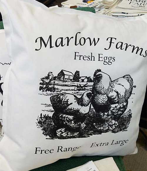 Marlow Farms Fresh Eggs Cochin Pillow